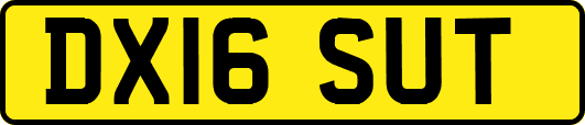 DX16SUT