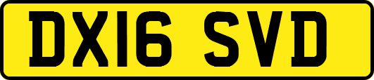 DX16SVD
