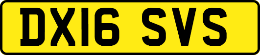 DX16SVS