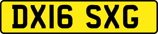 DX16SXG