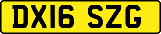 DX16SZG