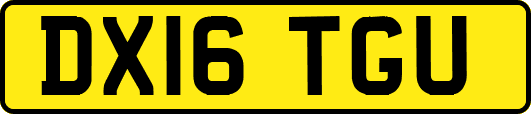 DX16TGU