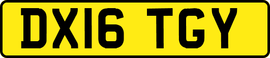 DX16TGY