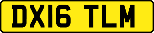 DX16TLM