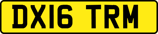 DX16TRM