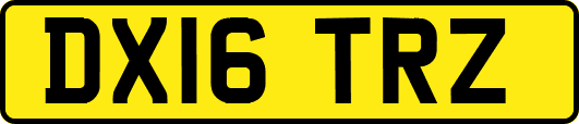 DX16TRZ