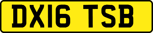 DX16TSB