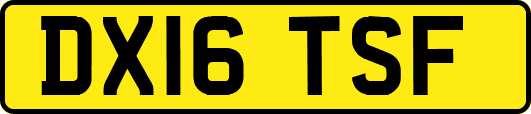 DX16TSF