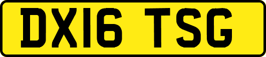 DX16TSG