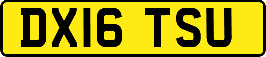 DX16TSU