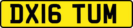 DX16TUM