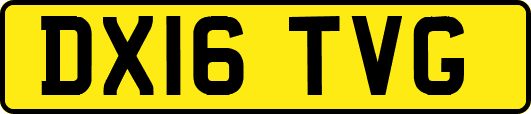 DX16TVG