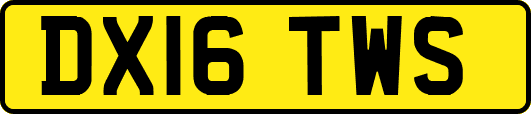 DX16TWS