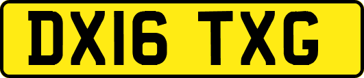 DX16TXG