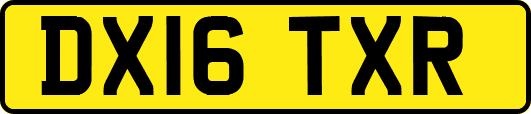 DX16TXR