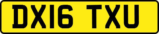 DX16TXU