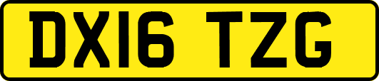 DX16TZG