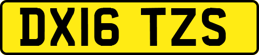 DX16TZS