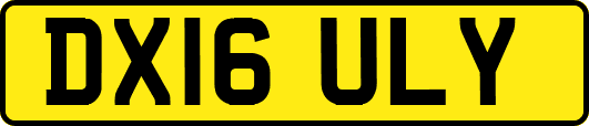 DX16ULY