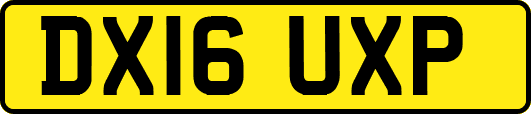 DX16UXP