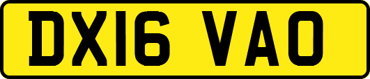 DX16VAO