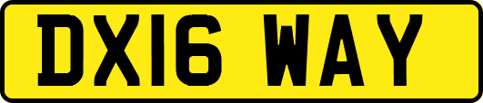 DX16WAY