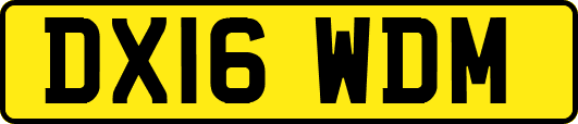 DX16WDM