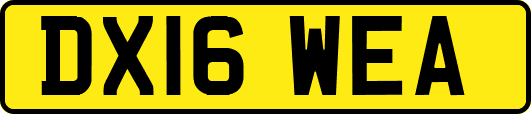DX16WEA