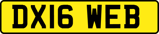 DX16WEB