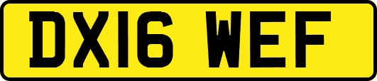 DX16WEF