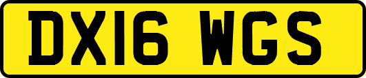 DX16WGS