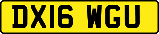 DX16WGU