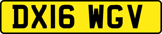 DX16WGV