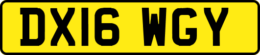DX16WGY