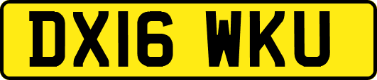 DX16WKU