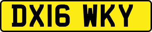 DX16WKY