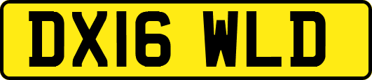 DX16WLD