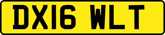 DX16WLT