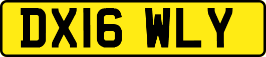 DX16WLY