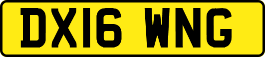 DX16WNG