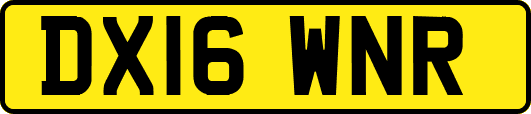DX16WNR