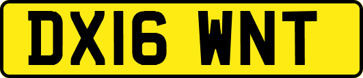 DX16WNT