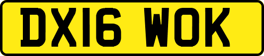 DX16WOK