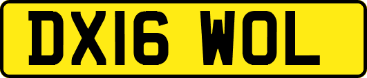DX16WOL