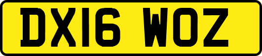DX16WOZ