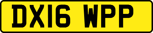 DX16WPP