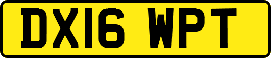 DX16WPT