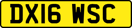 DX16WSC
