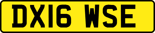 DX16WSE