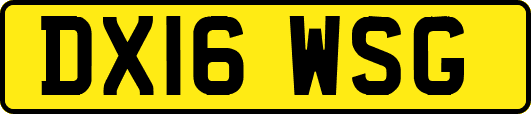 DX16WSG